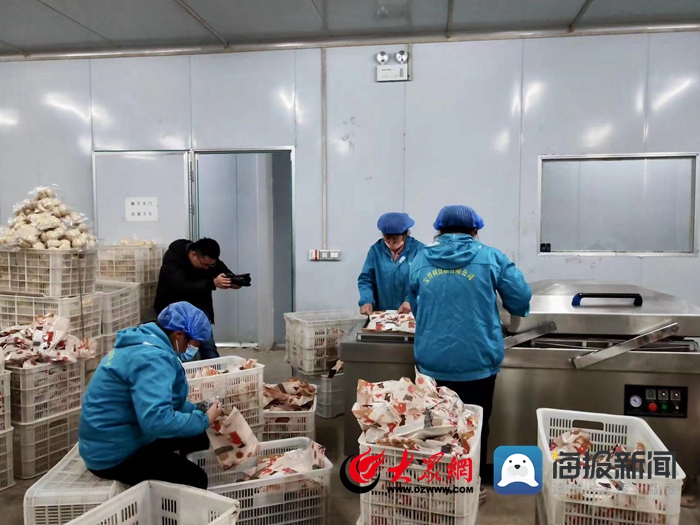 “三个突破”在郓城 宋江故里，馒头飘香，粮食加工产业跑出加速度
